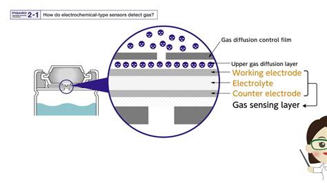 How Do Electrochemical Gas Sensors 